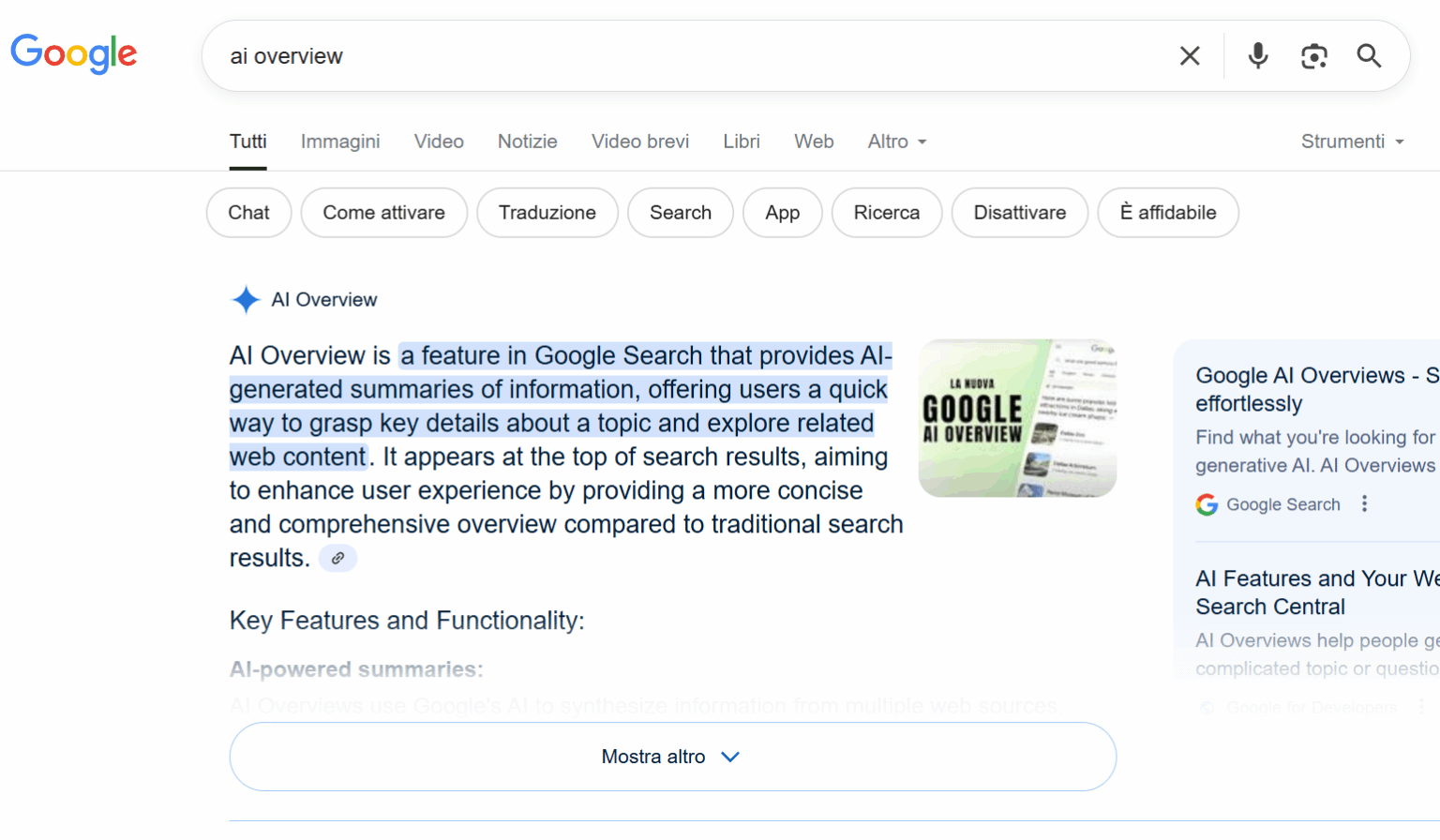 google ai overview